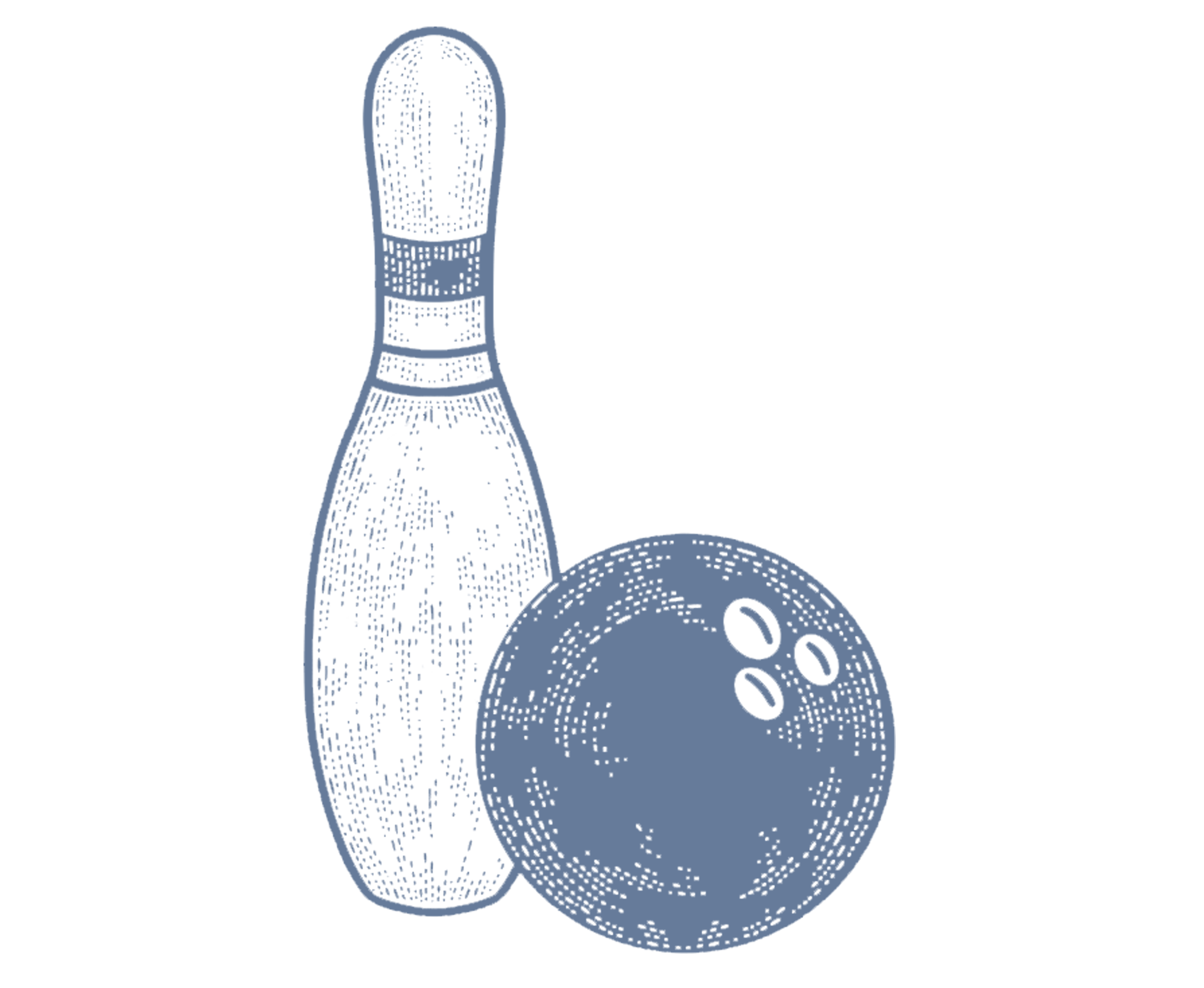 bowling pin and ball icon